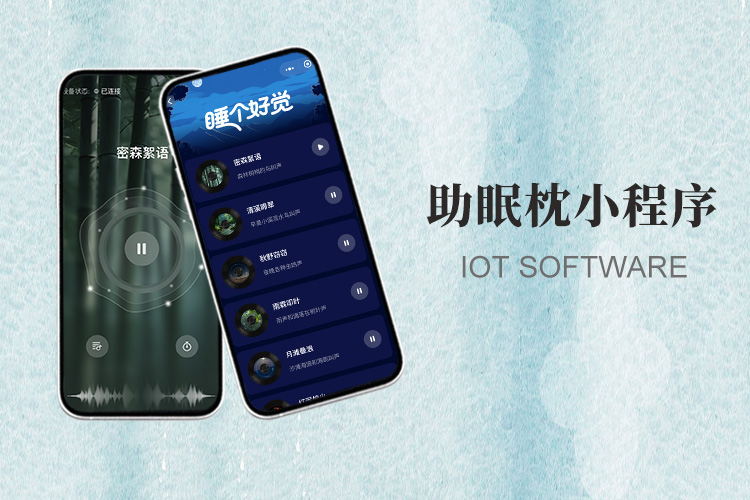 成都小火科技软件公司